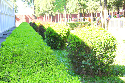 在北京朝阳平房东郊殡仪馆火化收费多少钱?附近墓地有哪些?