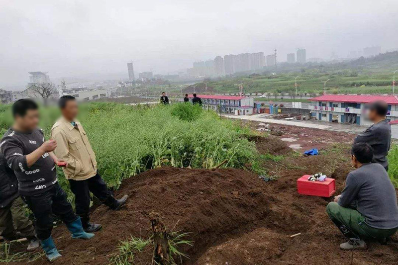 迁坟现场