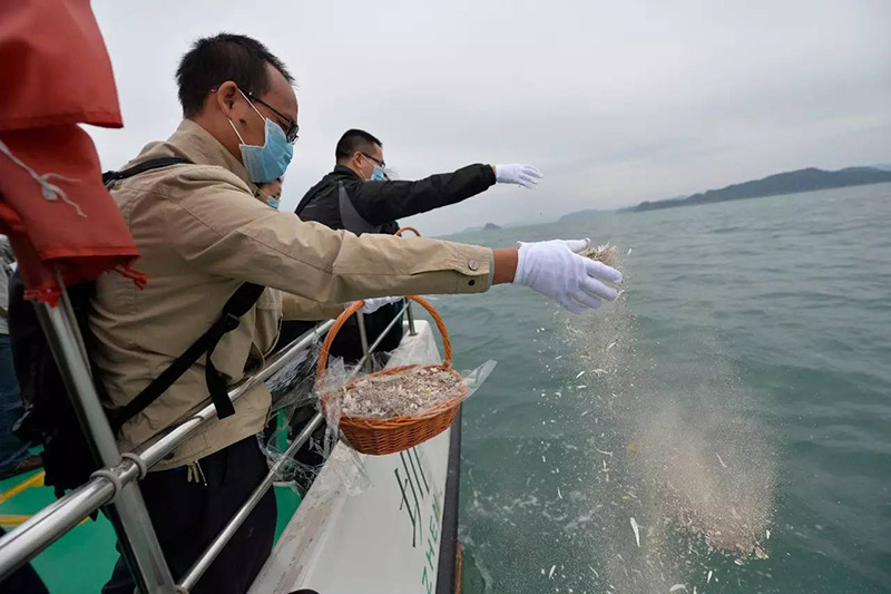 骨灰海撒现场