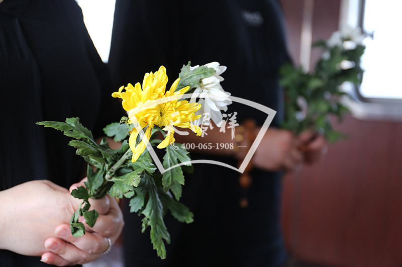 向逝者献礼 向逝者献礼