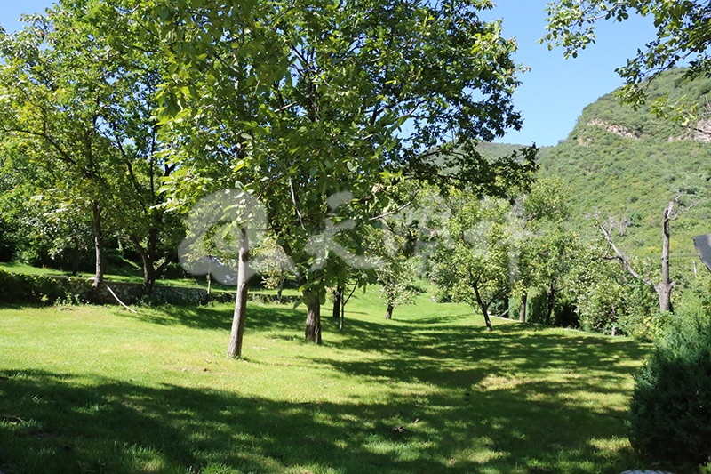 九公山陵园植被景观