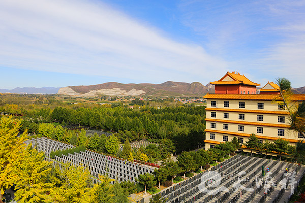 灵山宝塔陵园墓区鸟瞰